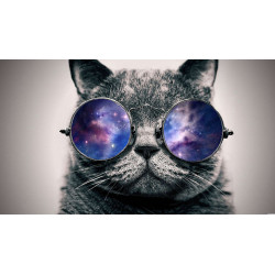 Lunettes-Rondes-Finc